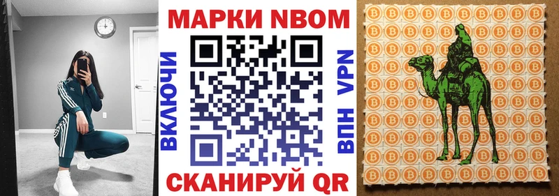 блэк спрут зеркало  Урень  Марки NBOMe 1,8мг  что такое  