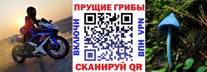 Галлюциногенные грибы Magic Shrooms  где найти   Урень 